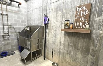 Pet wash station